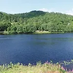 Daire Ved Mandalselva